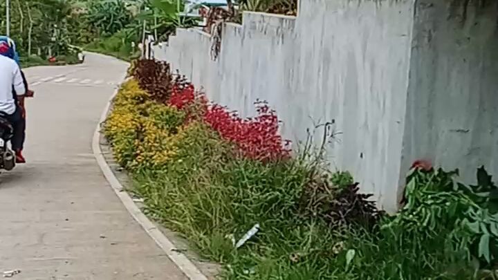 going to Santa Lucia,road of danasan danao city