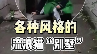 วิลล่าแมวจรจัดหลากหลายสไตล์