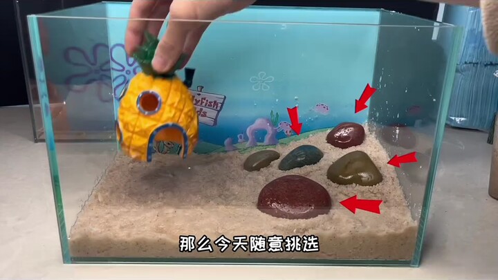Salto ini benar-benar menyentuh hatiku! #Patrick#BintangLaut#SpongeBob