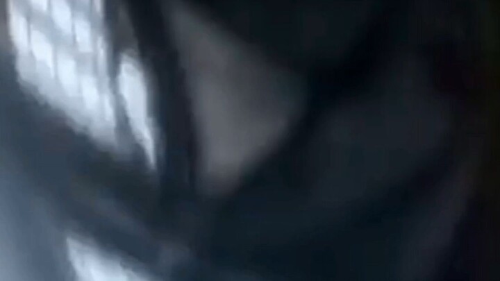 bisaya : what's Visaya then Japanese?