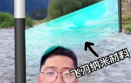 Chương trình đàn tranh phải không?