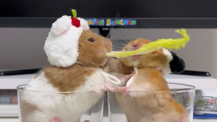 هل فهمت كلامي؟ هاتِه هنا!