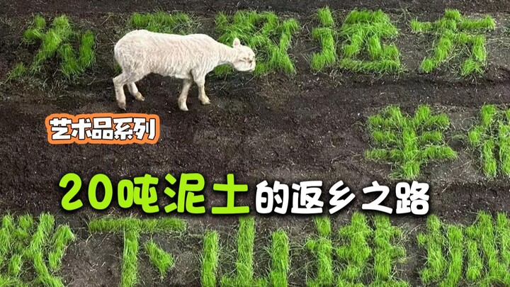 เจ๋งมาก! นำดิน 20 ตันที่ผสมกับมูลแกะ มาโปรยลงจากหน้าผาตามแรงลม