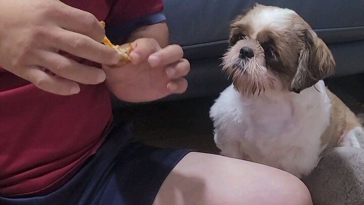 อยากกินไก่คับ