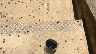 Stairwell Bottle Roll Puzzle Unveiling Moment