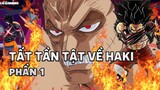 Tất Tần Tật Về HAKI - Sức mạnh bá đạo nhất trong One Piece - Phần 1