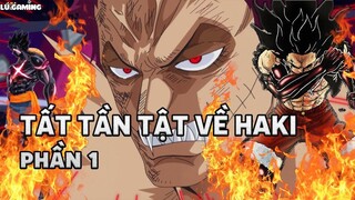 Tất Tần Tật Về HAKI - Sức mạnh bá đạo nhất trong One Piece - Phần 1