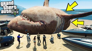 GTA 5 Mod - Biệt Đội Nobita Doremon Chaien Xuka Xeko Đi Săn Cá Mập Megalodon