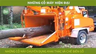 be41-3 - những cỗ máy hiện đại trong khai thác gỗ