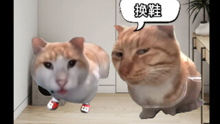 当你穿了破洞袜子，到了需要脱鞋的场合