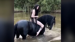 鬼...鬼知道我看了几遍!!