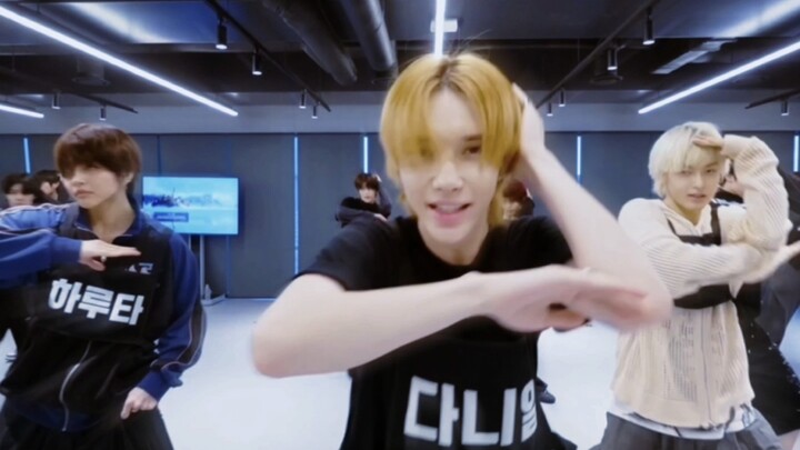 Ada yang ngerti gak! Anjing golden retriever nari tuh bener-bener keren, padahal aku biasanya cuma j