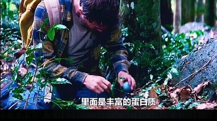 Four adventurers explore the jungle in search of gold.
