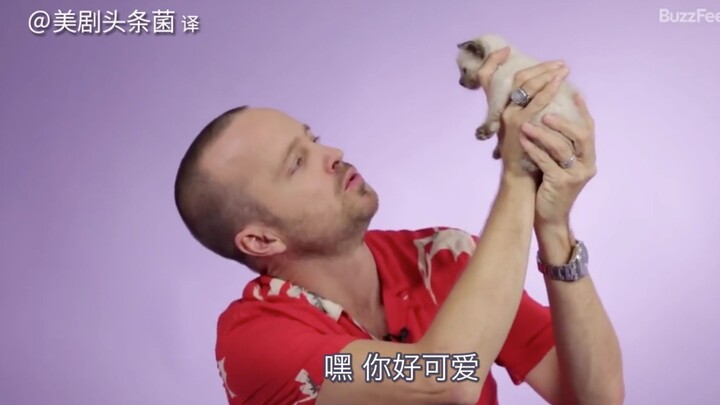 [CC] “Breaking Bad” — * Interviews While Playing with a Cat