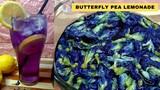 HOW TO MAKE BLUE LEMONADE // BUTTERFLY PEA FLOWER LEMONADE // BUTTERFLY PEA LEMONADE