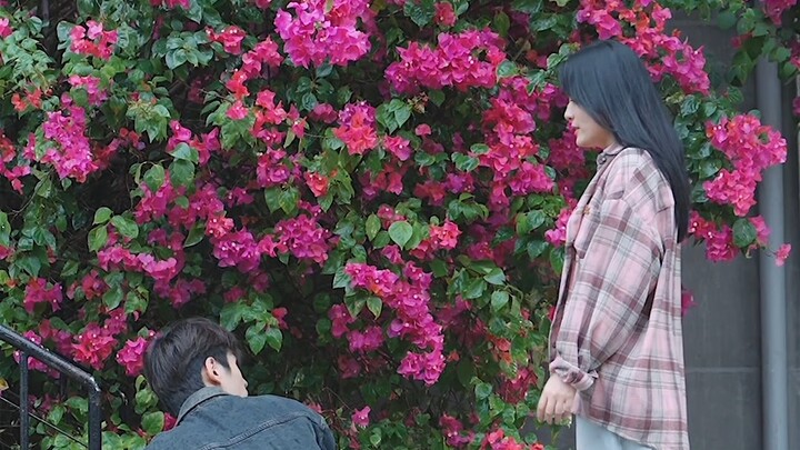 แมวจะคิดถึงทุกคนไหม?