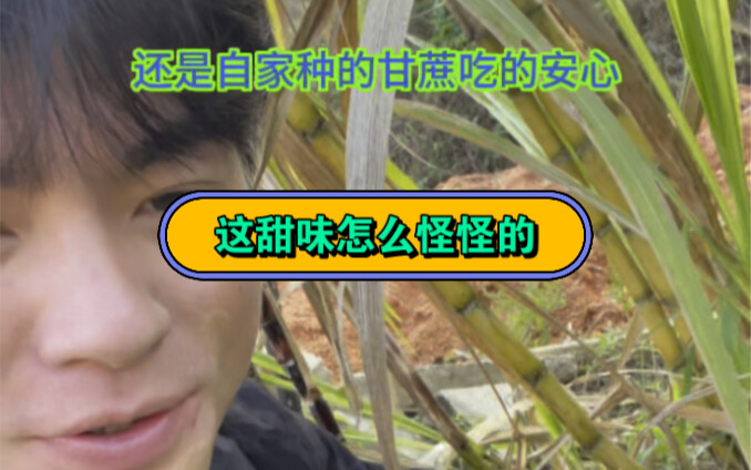 قلتُ فقط إن هذه الحلاوة مختلفة عن المعتاد...