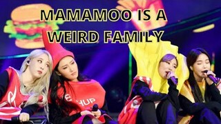 Mamamoo is a weird family