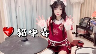 【架子鼓】猫 中 毒