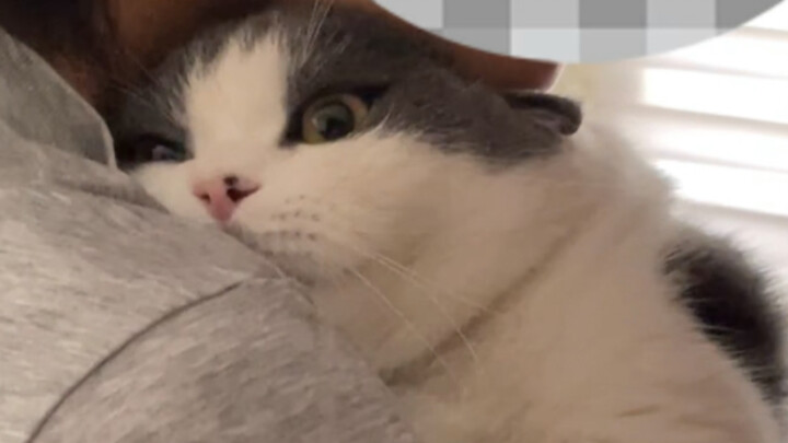 นี่คือเจ้าหมูมี้ตัวน้อยที่ฉันทำงานหนักมาเลี้ยงไว้เหรอ???