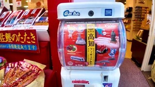 Kochi WalkShikoku Town4K Nonstop 1 hour