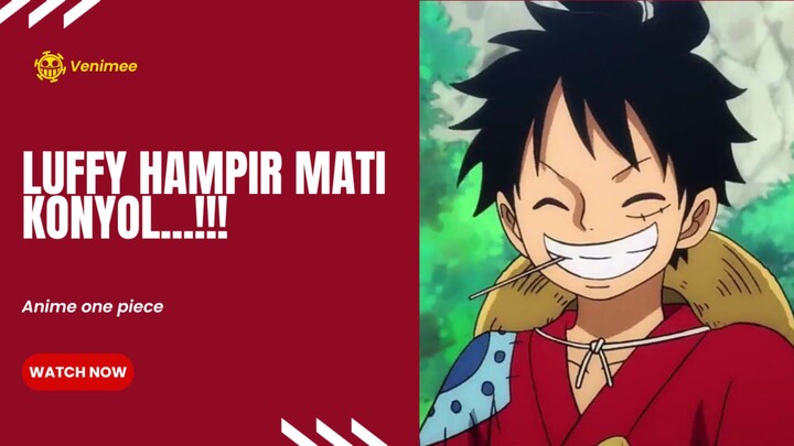 Luffy nih ada ada aja