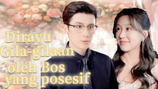 Sang pahlawan wanita yang ditelantarkan dijemput CEO dan dibawa pulang untuk dicintai!