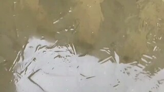 为了踩冰，大学生用调色板整了个简易滑板，结果下一秒就反转了 "