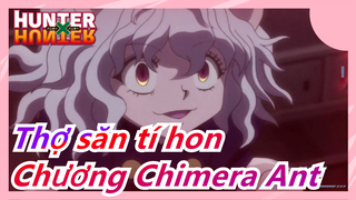 [Thợ săn tí hon] Chương Chimera Ant, Cảnh chiến đấu Hoành tráng, nhanh nào, Yoshihiro Togashi