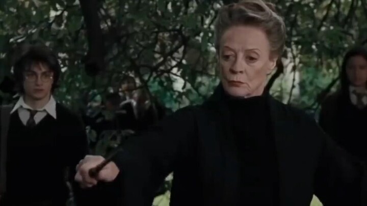 A collection of Professor McGonagall's magic scenes