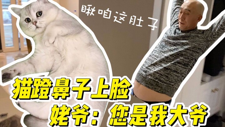 The cat takes advantage of my kindness—Grandpa: You’re my big brother!