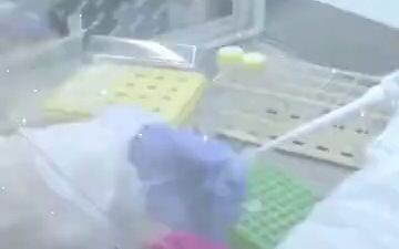 Kiểm nghiệm khoa học cho thấy thành phần trong người cũng giống như trong củ cải, vậy bạn có dám ăn 