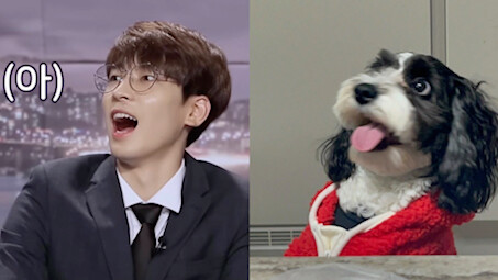 Orang ini juga memelihara anjing di grup, kok setiap ekornya mirip banget sama tuannya ya! Tidak tak