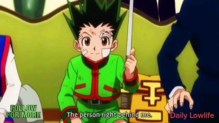 Hunter X Hunter Gon Freecs