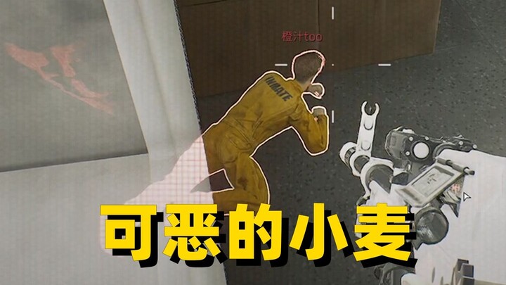 I hate every single Mai Xiaowen.