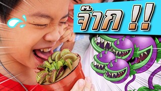 ต้นไม้กัดลิ้น !! ทดสอบความกล้ากับต้น "กาบหอยแครง" - DING DONG DAD