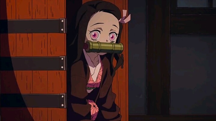 Do you remember the first time Zenitsu met Nezuko? (Kawaii)