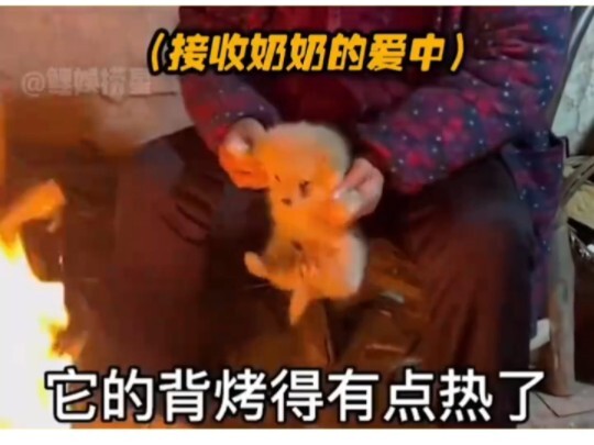 يا صاحب البيت، لماذا لديك وجهان؟