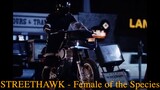 STREETHAWK - Female of the Species