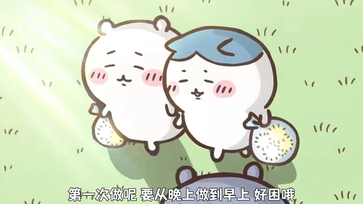 天选打工人呜呜呜·