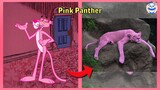 Pink Panther & Pals Characters In REAL LIFE 2022