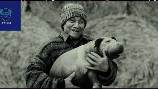 Siêu lợn (p1) #phimcuocsong