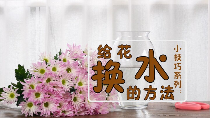 [Uncle Talks Flowers] Why does the water in a vase go bad? How often should you change it, and what’