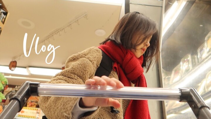 Vlog | Super Fun Grocery Store in New York: Bread Freedom, Smoked Salmon Bagels, Campus Life, Three 