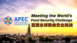 (RECORDED) APEC CEO Summit on food security - CGTN
