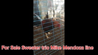 FS sweater trio mike mendoza line