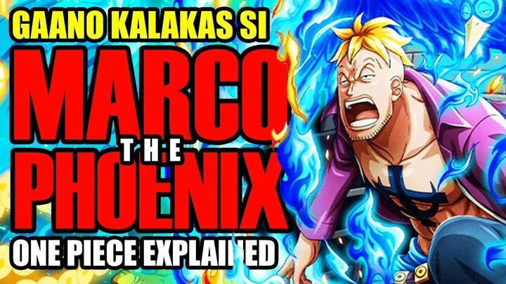 Gaano Kalakas si Marco the Phoenix?