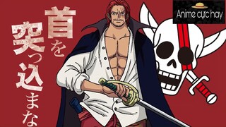 Tiết lộ con gái của Shanks #Animecuchay #schooltime