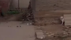 最讨厌没有边界感的狗了！