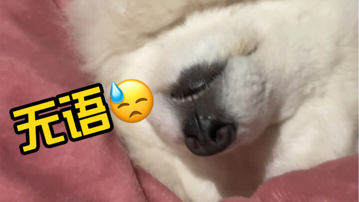 Snuck up in the middle of the night and literally shook me awake. So frustrating…